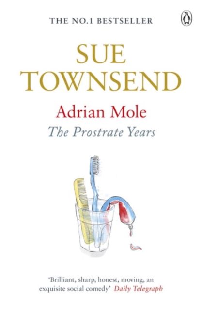 Obrázok Adrian Mole: Prostrate Years