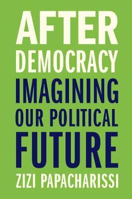 Obrázok After Democracy: Imagining Our Political Future