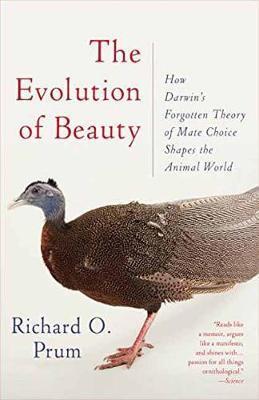 Obrázok Evolution of Beauty : How Darwins Forgotten Theory of Mate Choice Shapes the Animal World - and Us
