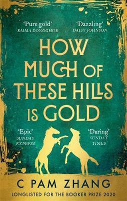 Obrázok How Much of These Hills is Gold : Longlisted for the Booker Prize 2020