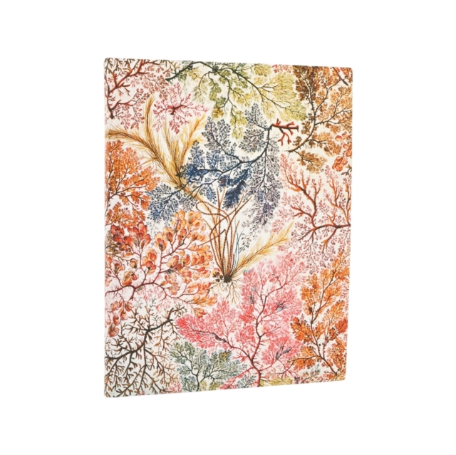 Obrázok D2026 Anemone Ultra BUSINESS