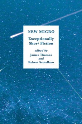 Obrázok New Micro Exceptionally Short Fiction