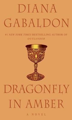 Obrázok Dragonfly in Amber