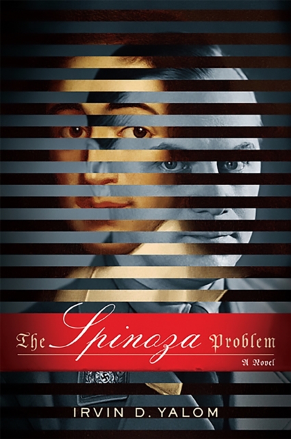 Obrazok The Spinoza Problem