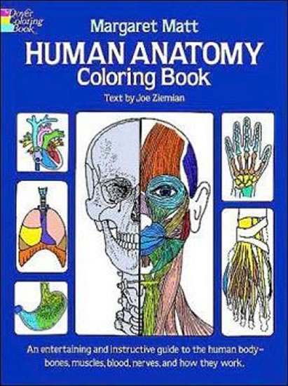 Obrázok Human Anatomy: Coloring Book