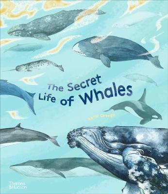 Obrázok The Secret Life of Whales