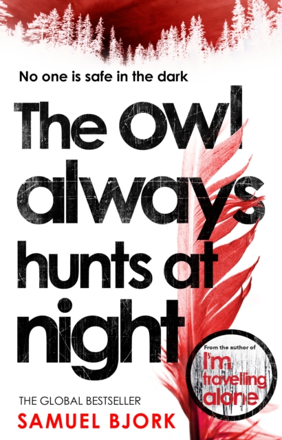 Obrázok The Owl Always Hunts at Night