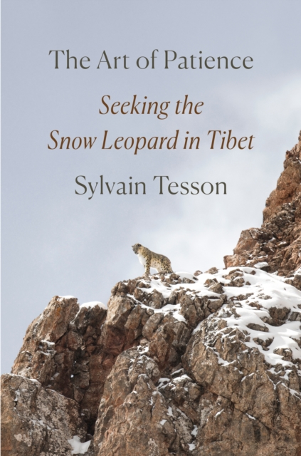 Obrázok The Art of Patience : Seeking the Snow Leopard in Tibet