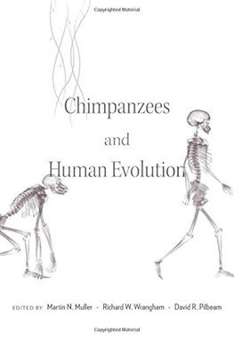 Obrázok Chimpanzees and Human Evolution