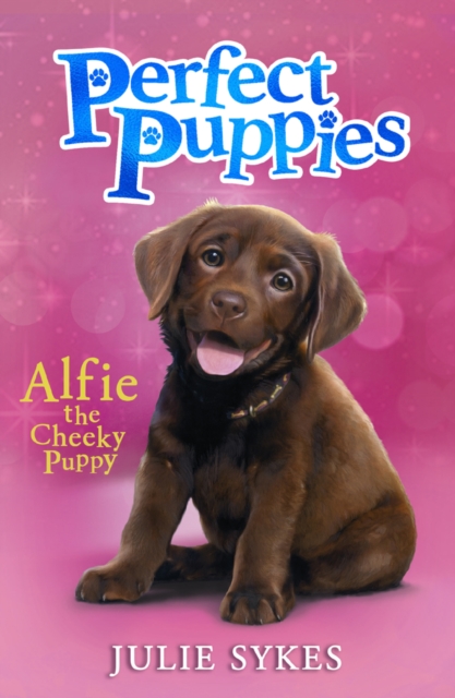 Obrázok Perfect Puppies 1: Alfie the Cheeky Puppy