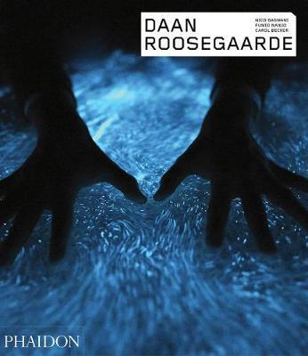 Obrázok Daan Roosegaarde
