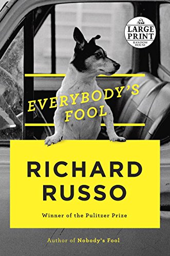 Obrázok Everybodys Fool