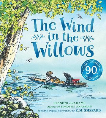 Obrázok Wind in the Willows anniversary gift picture book
