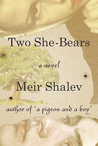 Obrázok Two She-Bears