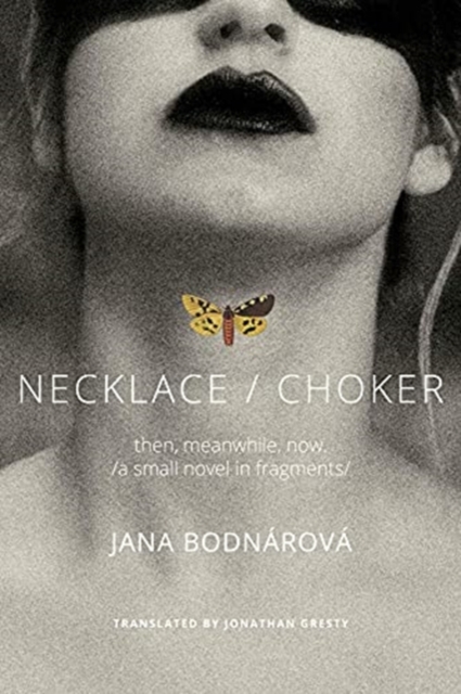 Obrázok Necklace/Choker
