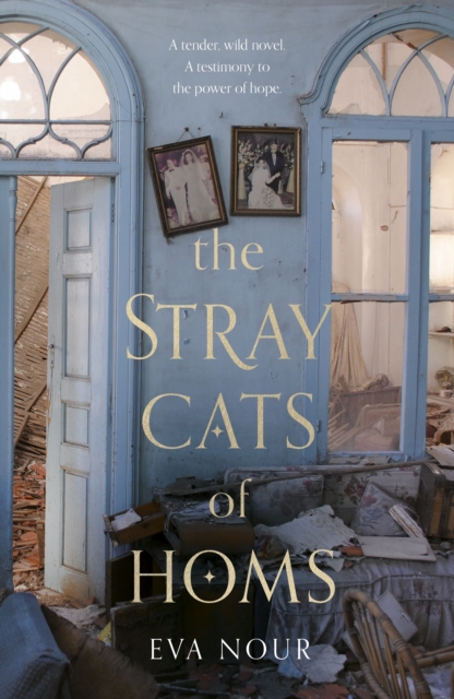 Obrázok The Stray Cats of Homs