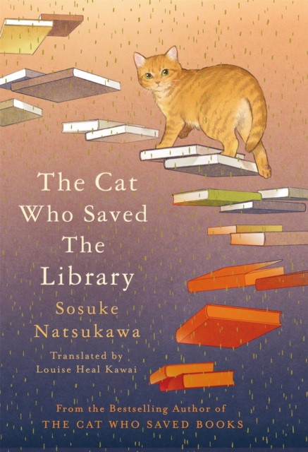 Obrázok The Cat Who Saved the Library