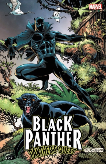 Obrázok Black Panther Panthers Quest