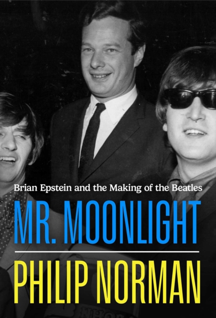 Obrazok Mr Moonlight