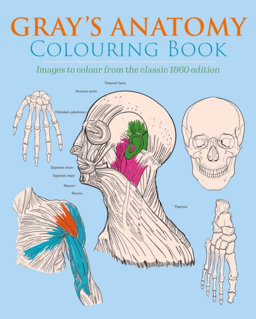 Obrazok Gray's Anatomy Colouring Book
