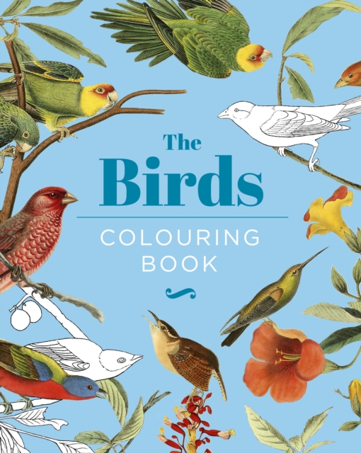 Obrázok The Birds Colouring Book