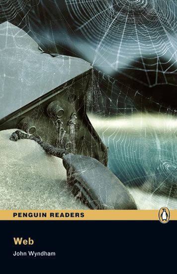 Obrázok Level 5: Web