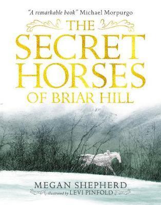 Obrázok The Secret Horses of Briar Hill