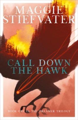 Obrázok Call Down the Hawk: The Dreamer Trilogy 1