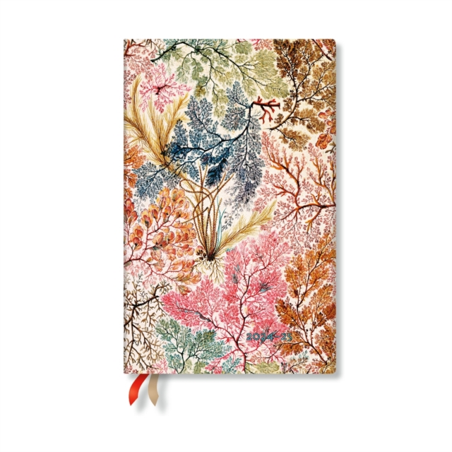 Obrázok D2024/25 Anemone Maxi VER