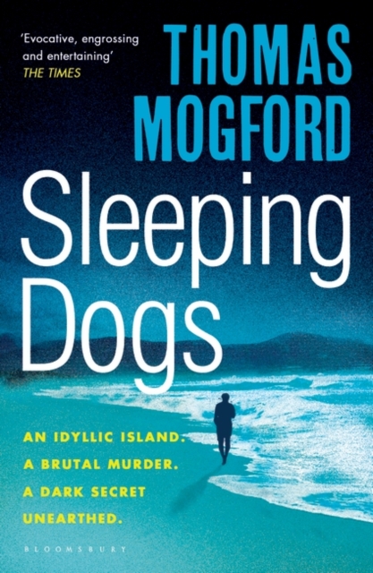 Obrázok Sleeping Dogs