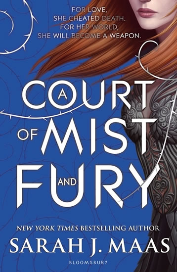 Obrázok Court of Mist and Fury
