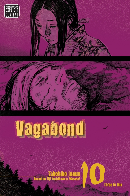 Obrázok Vagabond 10