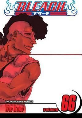 Obrázok Bleach 66