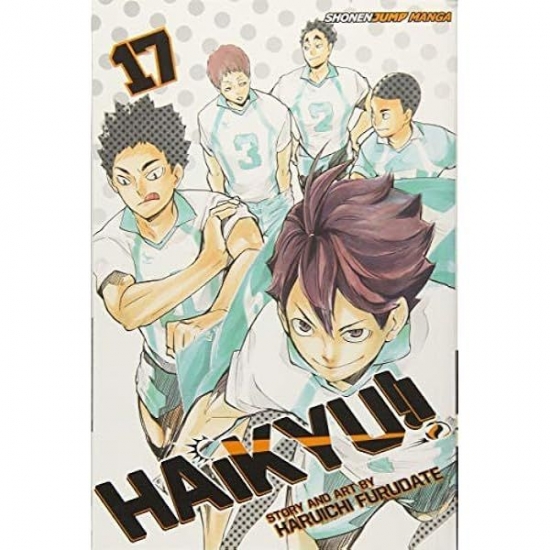 Obrázok Haikyu!! 17