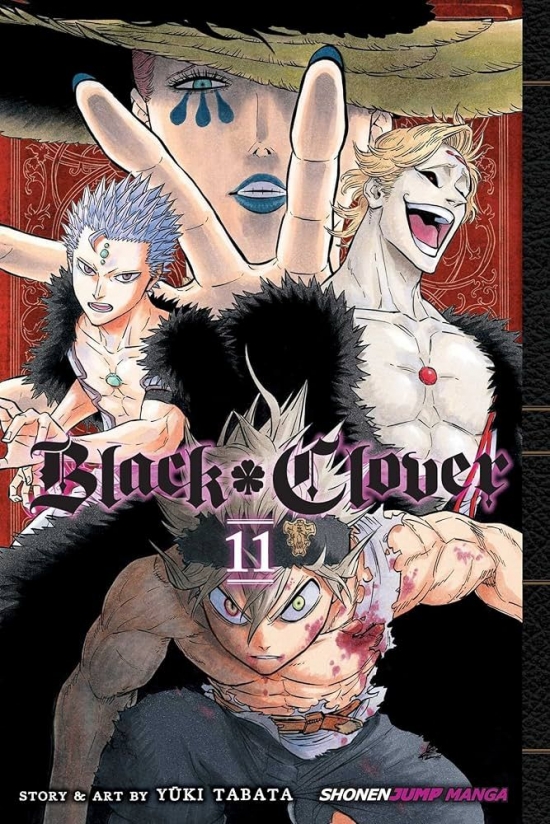 Obrázok Black Clover 11