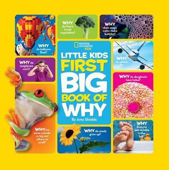 Obrázok Little Kids First Big Book of Why
