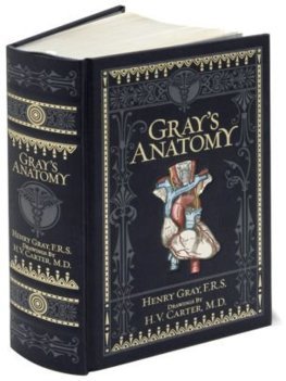 Obrázok Gray´s Anatomy (Barnes & Noble Collectible Classics: Omnibus Edition)