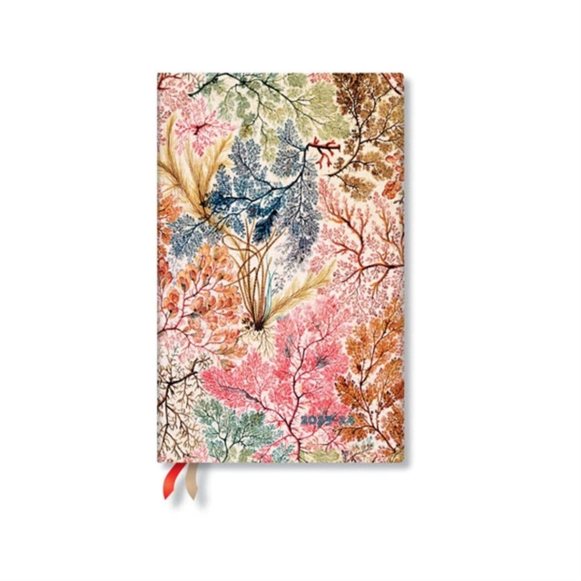 Obrázok D2023/24 Anemone Maxi VER