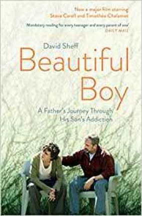Obrázok Beautiful Boy : A Fathers Journey Through His Sons Addiction