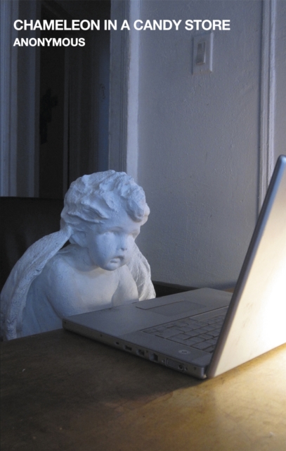 Obrázok Chameleon in a Candy Store