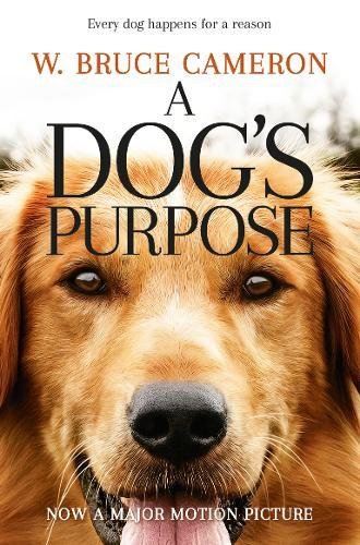 Obrázok A Dogs Purpose