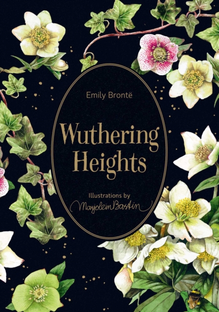 Obrázok Wuthering Heights