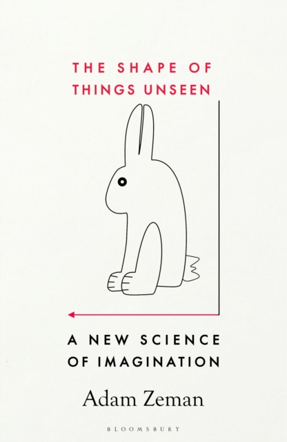 Obrázok The Shape of Things Unseen