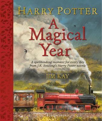 Obrázok Harry Potter - A Magical Year
