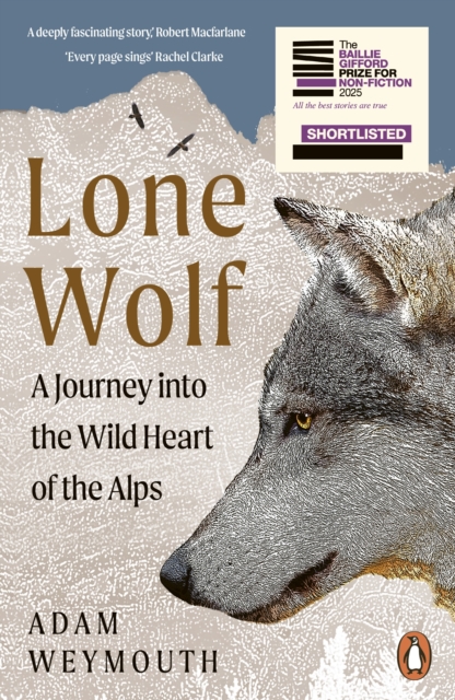 Obrazok Lone Wolf