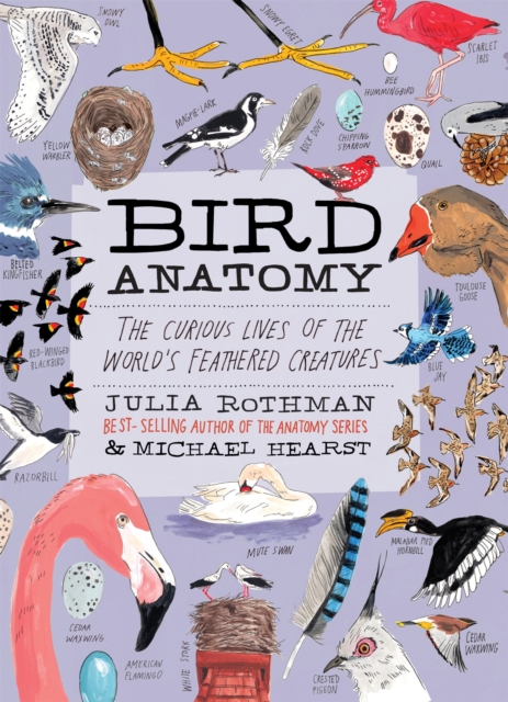 Obrazok Bird Anatomy