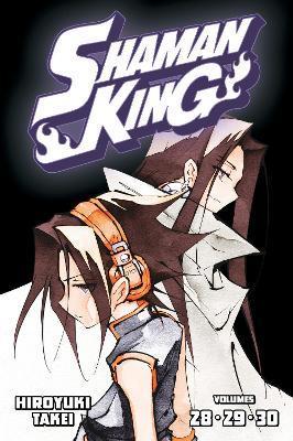 Obrázok Shaman King Omnibus 10 (Vol. 28-30)