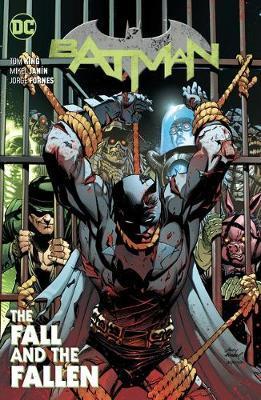 Obrázok Batman Volume 11 The Fall and the Fallen