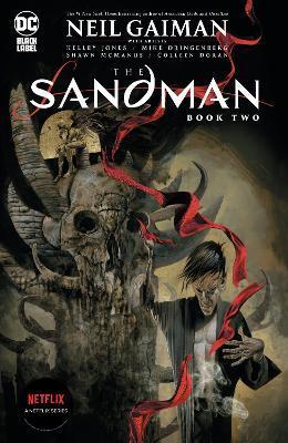Obrázok The Sandman Book Two