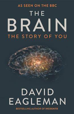 Obrázok The Brain, The Story of You